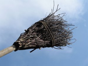 Witch's broom