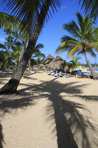 Caribbean Dreams: Beach shots from the Dominican Republic