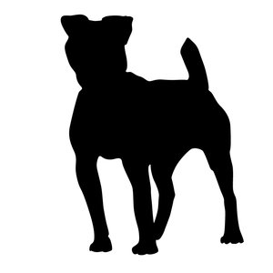 silhouette dog