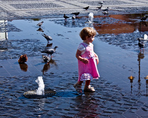 little girl with pigeons: little girl with pigeons