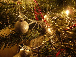 Graham's Christmas Tree 3