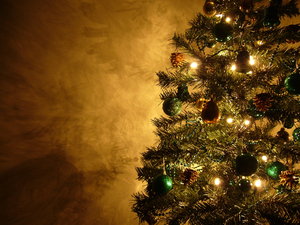 Graham's Christmas Tree 15
