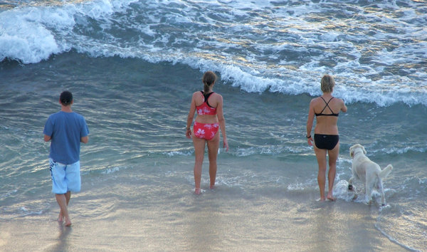 dog's day at the beach