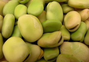 broad beans