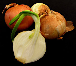 onions: several brown onions including halved shooting onion