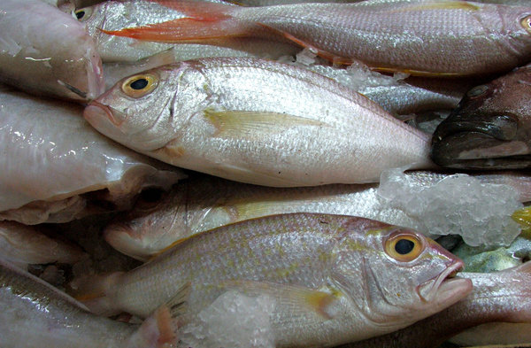 Casino modane 1 mTzzOPk