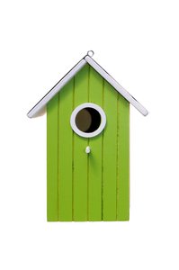 bird house: colored fancy bird house.
