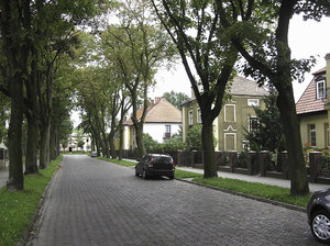 Street with trees