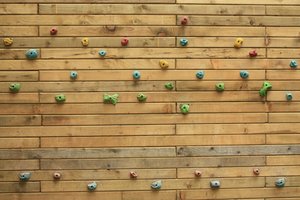 Climbing wall: Grips on a wooden climbing wall