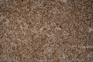Sandstone Grit Texture