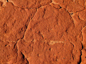 red pindan soil