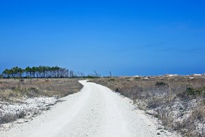 Path To The Beach: White sand road to the beach. Quartz, gives the sand the white coloring.