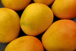 mango colour3