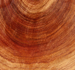 woodgrain textures: wooden African bowl of combined wood grains