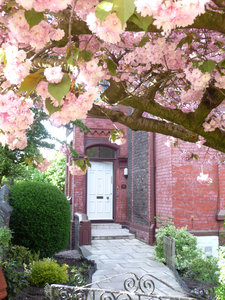 Cherry Blossom Door