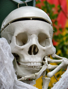medical model2: plastic medical model of human skeleton/skull used for Haloween display