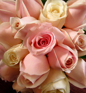 rose bouquet5: bridesmaid's rose-bud bouquet