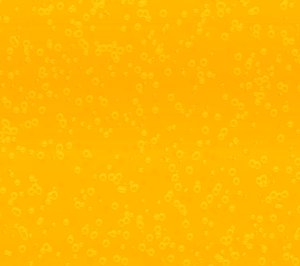 Bubbly Background Yellow