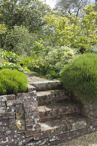 Old garden steps
