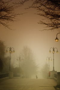 A walk in the mist