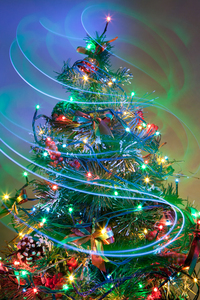 Christmas Tree 5