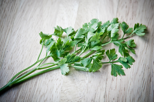 Parsley: Photo of sprigs of Italian parsley