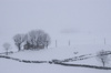 Snow in Alto Campoo