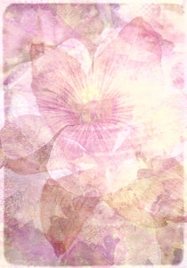 Textured Floral Collage 5