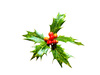 Holly with berries
