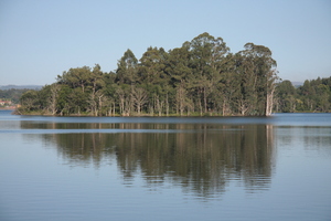 Lake reflection 2