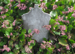 tombstone among the flowers