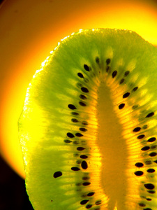 kiwi light