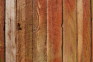 Wood Background 2: Wood texture for backgrounds. 