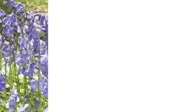 Nature Banner 2