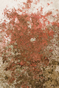 Rusted Background 5