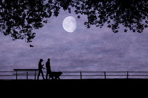 A walk under the moonlight: no description