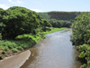 Waimea River (from the swingin