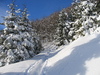 Wonderful snow 2
