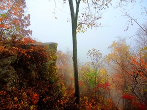 Color bluff in Autumn