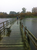 Crossing Wooden Bridge IN Rain